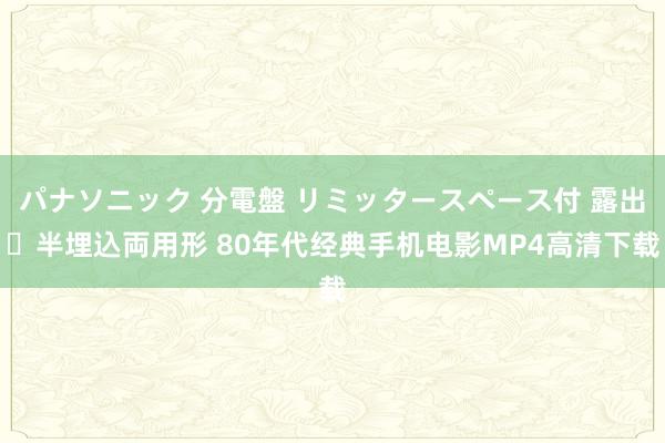 パナソニック 分電盤 リミッタースペース付 露出・半埋込両用形 80年代经典手机电影MP4高清下载