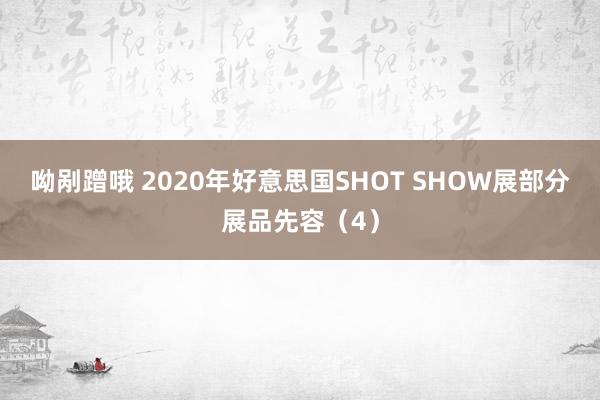 呦剐蹭哦 2020年好意思国SHOT SHOW展部分展品先容（4）