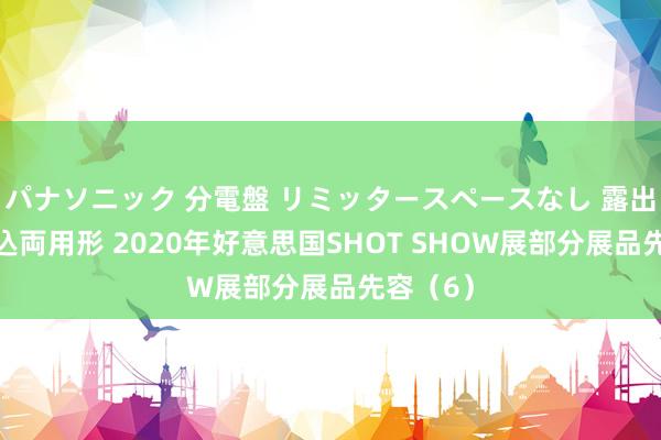 パナソニック 分電盤 リミッタースペースなし 露出・半埋込両用形 2020年好意思国SHOT SHOW展部分展品先容（6）