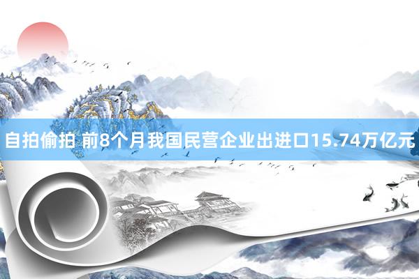 自拍偷拍 前8个月我国民营企业出进口15.74万亿元