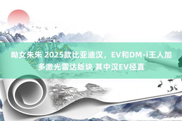 呦女朱朱 2025款比亚迪汉，EV和DM-i王人加多激光雷达版块 其中汉EV径直