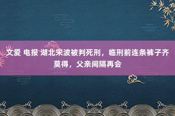 文爱 电报 湖北宋波被判死刑，临刑前连条裤子齐莫得，父亲间隔再会