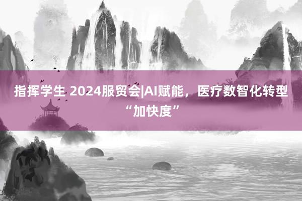 指挥学生 2024服贸会|AI赋能，医疗数智化转型“加快度”