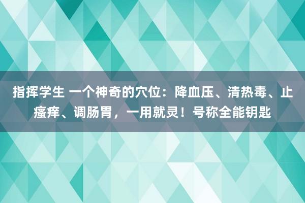 指挥学生 一个神奇的穴位：降血压、清热毒、止瘙痒、调肠胃，一用就灵！号称全能钥匙