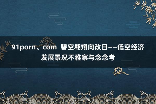 91porn。com  碧空翱翔向改日——低空经济发展景况不雅察与念念考