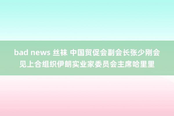 bad news 丝袜 中国贸促会副会长张少刚会见上合组织伊朗实业家委员会主席哈里里