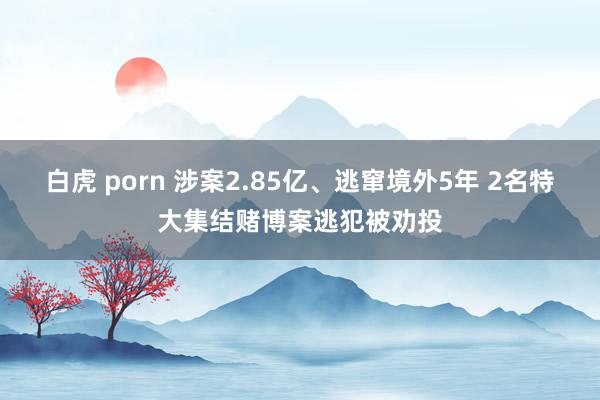 白虎 porn 涉案2.85亿、逃窜境外5年 2名特大集结赌博案逃犯被劝投