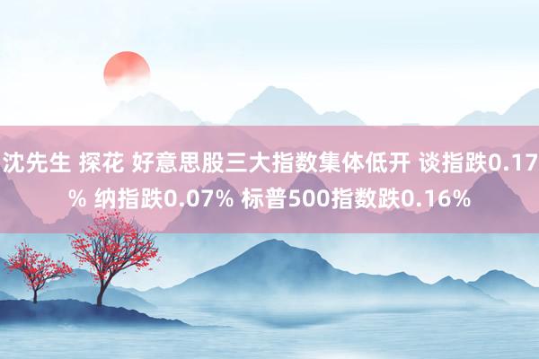 沈先生 探花 好意思股三大指数集体低开 谈指跌0.17% 纳指跌0.07% 标普500指数跌0.16%