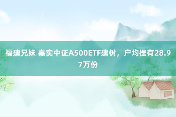 福建兄妹 嘉实中证A500ETF建树，户均捏有28.97万份