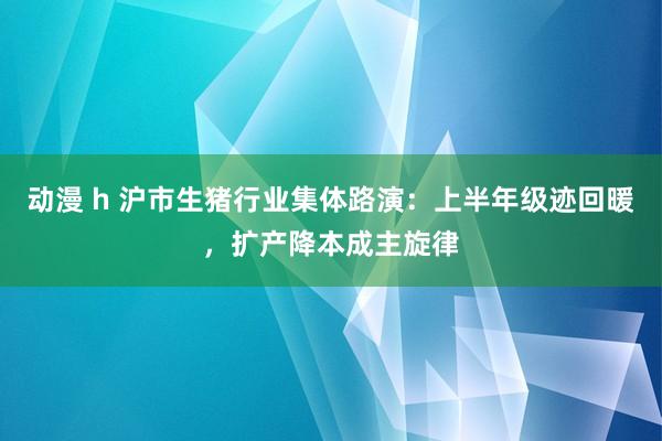 动漫 h 沪市生猪行业集体路演：上半年级迹回暖，扩产降本成主旋律