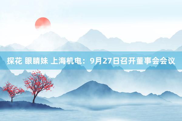 探花 眼睛妹 上海机电：9月27日召开董事会会议