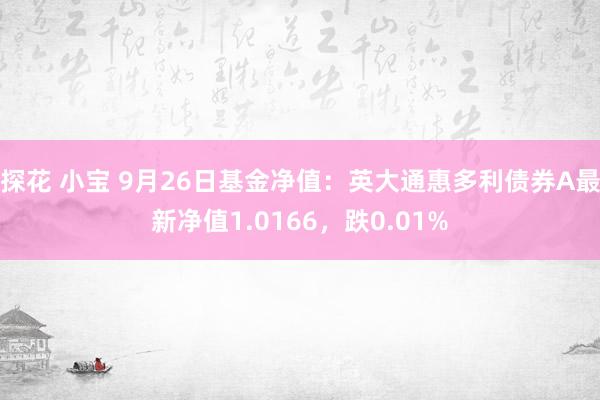 探花 小宝 9月26日基金净值：英大通惠多利债券A最新净值1.0166，跌0.01%