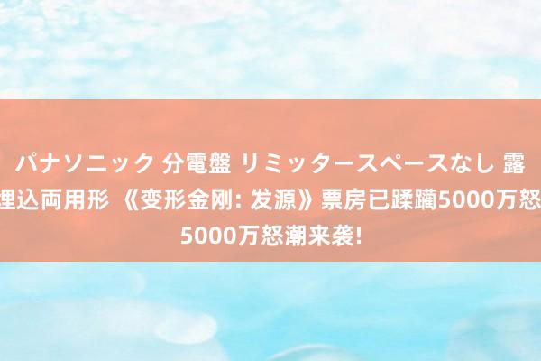 パナソニック 分電盤 リミッタースペースなし 露出・半埋込両用形 《变形金刚: 发源》票房已蹂躏5000万怒潮来袭!