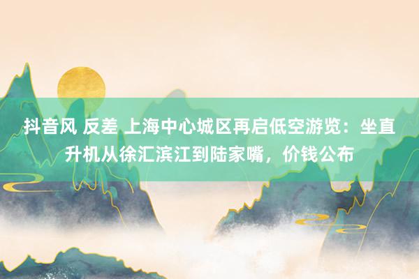 抖音风 反差 上海中心城区再启低空游览：坐直升机从徐汇滨江到陆家嘴，价钱公布