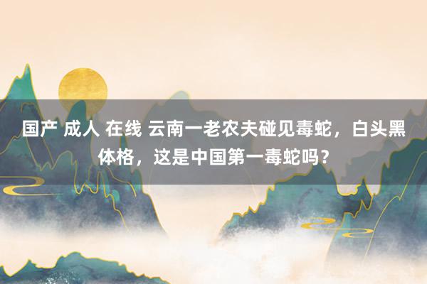 国产 成人 在线 云南一老农夫碰见毒蛇，白头黑体格，这是中国第一毒蛇吗？