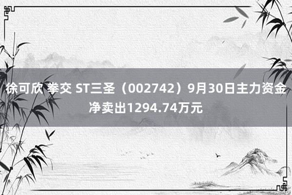 徐可欣 拳交 ST三圣（002742）9月30日主力资金净卖出1294.74万元