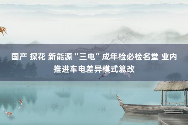 国产 探花 新能源“三电”成年检必检名堂 业内推进车电差异模式篡改