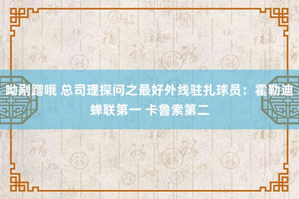 呦剐蹭哦 总司理探问之最好外线驻扎球员：霍勒迪蝉联第一 卡鲁索第二