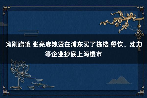 呦剐蹭哦 张亮麻辣烫在浦东买了栋楼 餐饮、动力等企业抄底上海楼市