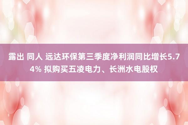 露出 同人 远达环保第三季度净利润同比增长5.74% 拟购买五凌电力、长洲水电股权