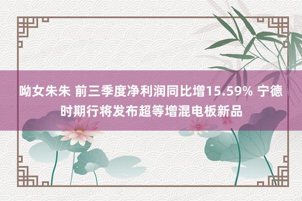 呦女朱朱 前三季度净利润同比增15.59% 宁德时期行将发布超等增混电板新品