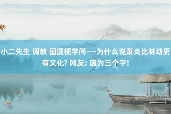 小二先生 调教 国漫梗学问——为什么说萧炎比林动更有文化? 网友: 因为三个字!