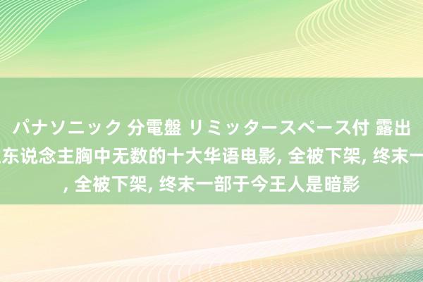 パナソニック 分電盤 リミッタースペース付 露出・半埋込両用形 让东说念主胸中无数的十大华语电影， 全被下架， 终末一部于今王人是暗影