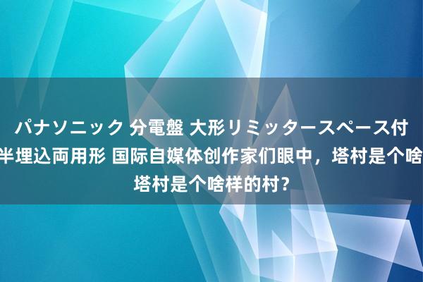 パナソニック 分電盤 大形リミッタースペース付 露出・半埋込両用形 国际自媒体创作家们眼中，塔村是个啥样的村？