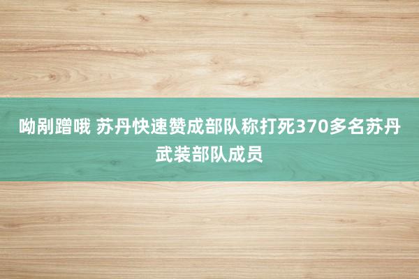 呦剐蹭哦 苏丹快速赞成部队称打死370多名苏丹武装部队成员