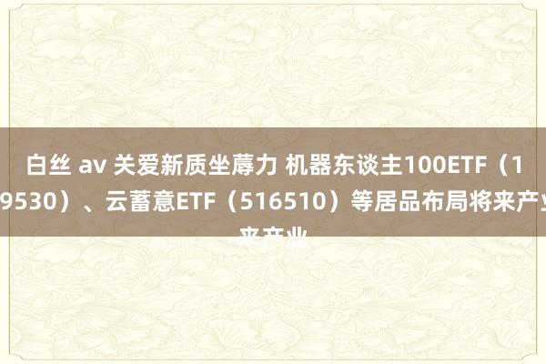 白丝 av 关爱新质坐蓐力 机器东谈主100ETF（159530）、云蓄意ETF（516510）等居品布局将来产业