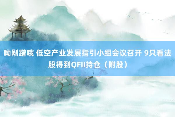 呦剐蹭哦 低空产业发展指引小组会议召开 9只看法股得到QFII持仓（附股）