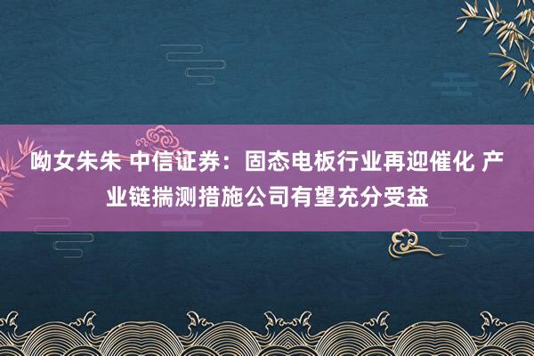 呦女朱朱 中信证券：固态电板行业再迎催化 产业链揣测措施公司有望充分受益