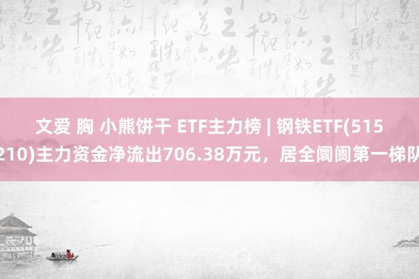 文爱 胸 小熊饼干 ETF主力榜 | 钢铁ETF(515210)主力资金净流出706.38万元，居全阛阓第一梯队