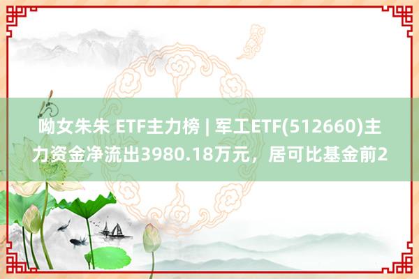 呦女朱朱 ETF主力榜 | 军工ETF(512660)主力资金净流出3980.18万元，居可比基金前2