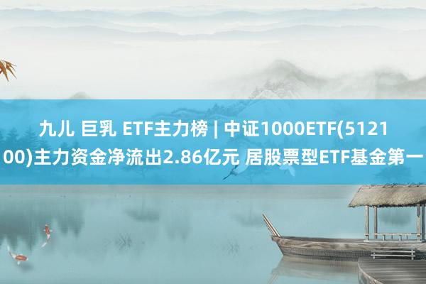 九儿 巨乳 ETF主力榜 | 中证1000ETF(512100)主力资金净流出2.86亿元 居股票型ETF基金第一