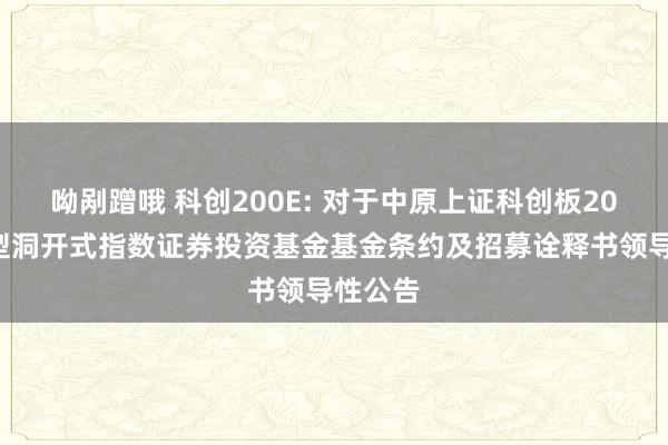 呦剐蹭哦 科创200E: 对于中原上证科创板200交往型洞开式指数证券投资基金基金条约及招募诠释书领导性公告