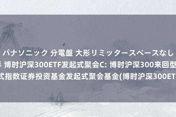 パナソニック 分電盤 大形リミッタースペースなし 露出・半埋込両用形 博时沪深300ETF发起式聚会C: 博时沪深300来回型绽放式指数证券投资基金发起式聚会基金(博时沪深300ETF发起式聚会C)基金产物贵府选录