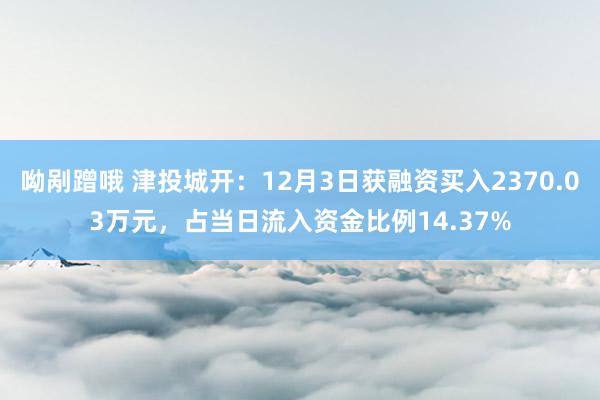 呦剐蹭哦 津投城开：12月3日获融资买入2370.03万元，占当日流入资金比例14.37%