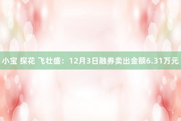 小宝 探花 飞壮盛：12月3日融券卖出金额6.31万元