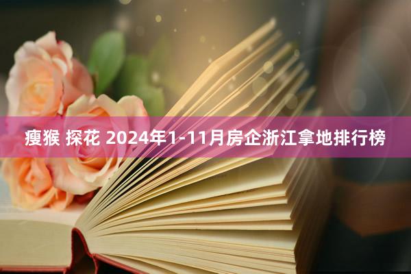 瘦猴 探花 2024年1-11月房企浙江拿地排行榜