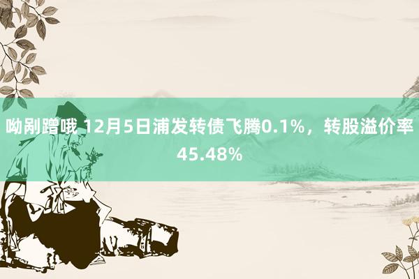 呦剐蹭哦 12月5日浦发转债飞腾0.1%，转股溢价率45.48%