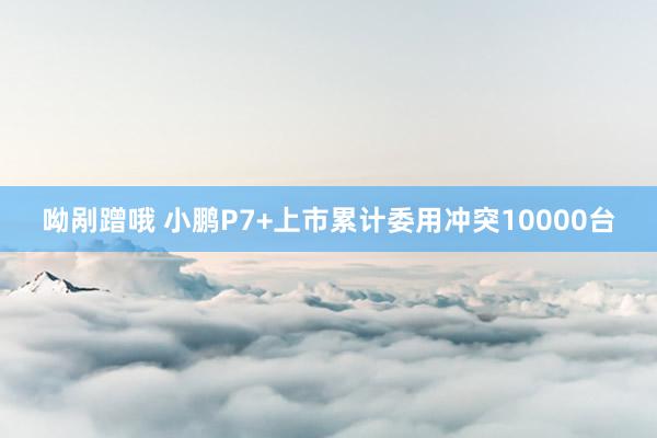 呦剐蹭哦 小鹏P7+上市累计委用冲突10000台