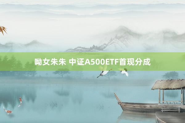 呦女朱朱 中证A500ETF首现分成