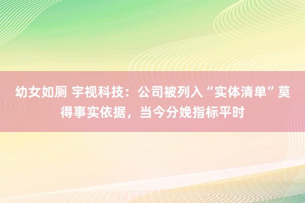 幼女如厕 宇视科技：公司被列入“实体清单”莫得事实依据，当今分娩指标平时