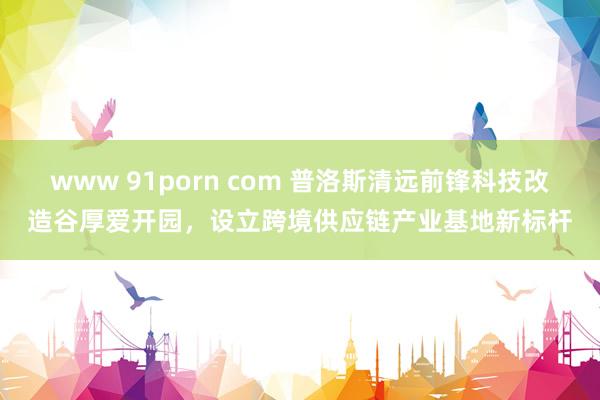 www 91porn com 普洛斯清远前锋科技改造谷厚爱开园，设立跨境供应链产业基地新标杆