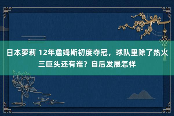 日本萝莉 12年詹姆斯初度夺冠，球队里除了热火三巨头还有谁？自后发展怎样