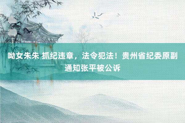 呦女朱朱 抓纪违章，法令犯法！贵州省纪委原副通知张平被公诉