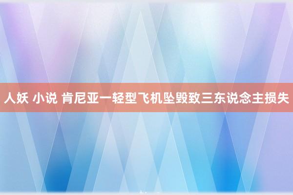 人妖 小说 肯尼亚一轻型飞机坠毁致三东说念主损失