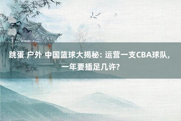 跳蛋 户外 中国篮球大揭秘: 运营一支CBA球队， 一年要插足几许?