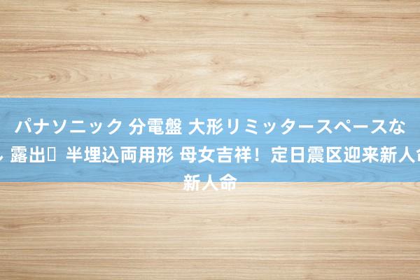 パナソニック 分電盤 大形リミッタースペースなし 露出・半埋込両用形 母女吉祥！定日震区迎来新人命